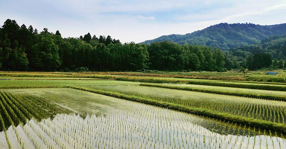 朝日村での生産環境イメージ